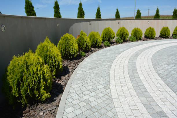 Best Driveway Pavers Near Me  in Magee, MS